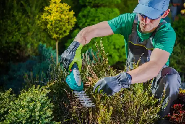 landscaping services Tuscarawas
